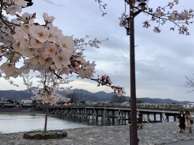 MACHIYA28.15