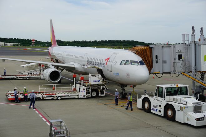 韓国料理「ビビンバ」への素朴な疑問、なぜコチュジャンを入れて混ぜなければいけないのだろう？【韓国の個人旅行ガイド】下川裕治の画像