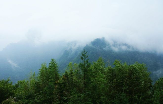 taiwan126.1
