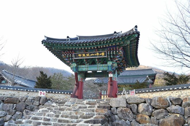 Netflix『隠し味にはロマンス』でコ・ミンシ扮するヨンジュがカン・ハヌル扮するボムや店のスタッフに体験させた「テンプルステイ」とは？【旬ドラマ見どころ解説】の画像